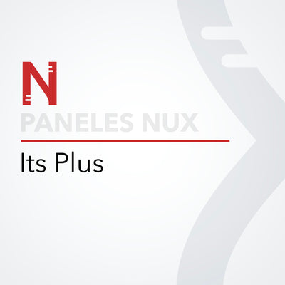 NUX-1-L10